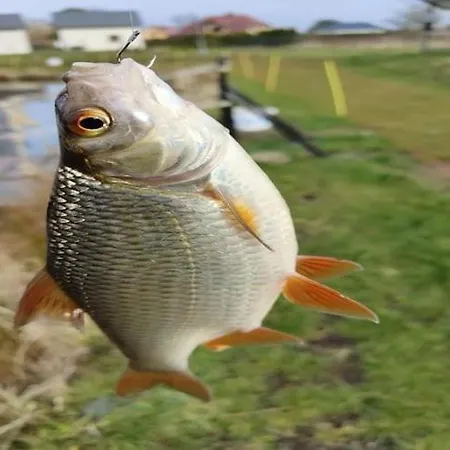 Ferienhaus Comfortable Home, Sauna, Fishing Pond Wodnica (Pomerania)